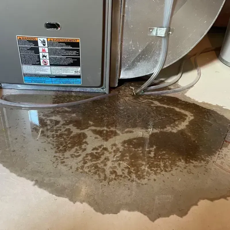 Appliance Leak Cleanup in McHenry County, ND